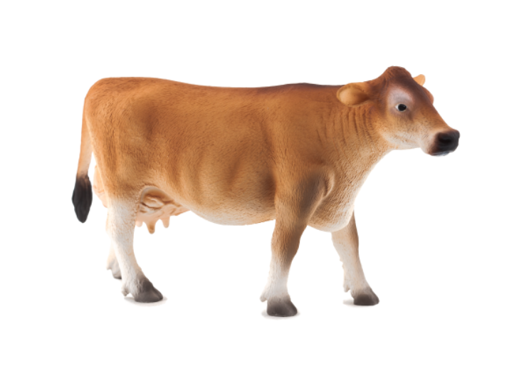 گاو شیرده جرسی موجو  Jersey Cow 387117